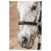 Zestaw kantar + uwiąz STOUT! Lime - Harry's Horse